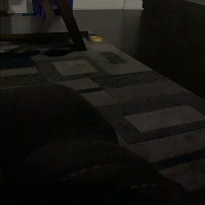 Meet your Posher, Darrin